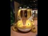 Lines Form Days before Opening of Studio Ghibli Store "Donguri Republic" - First Overseas Branch