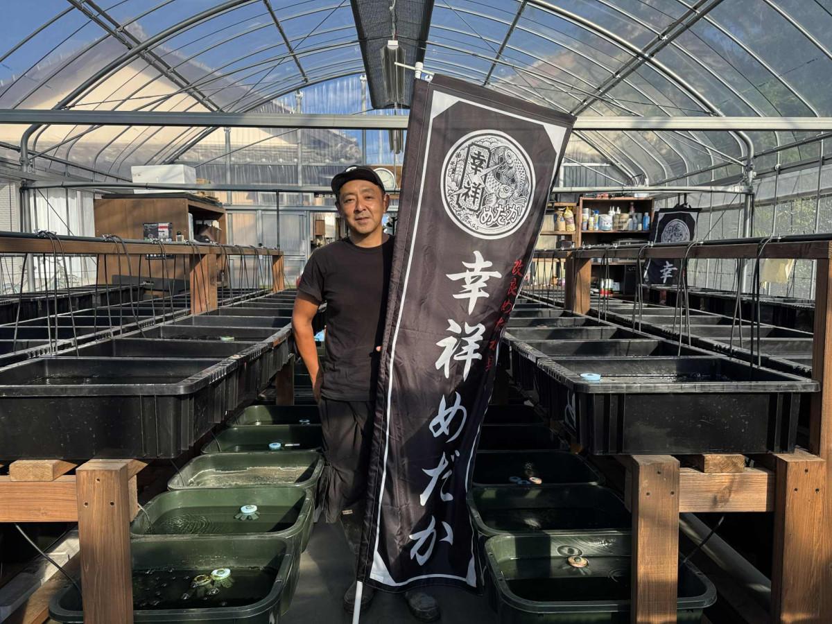 めだかフェスを主催する「幸祥めだか」の小野原正樹さん
