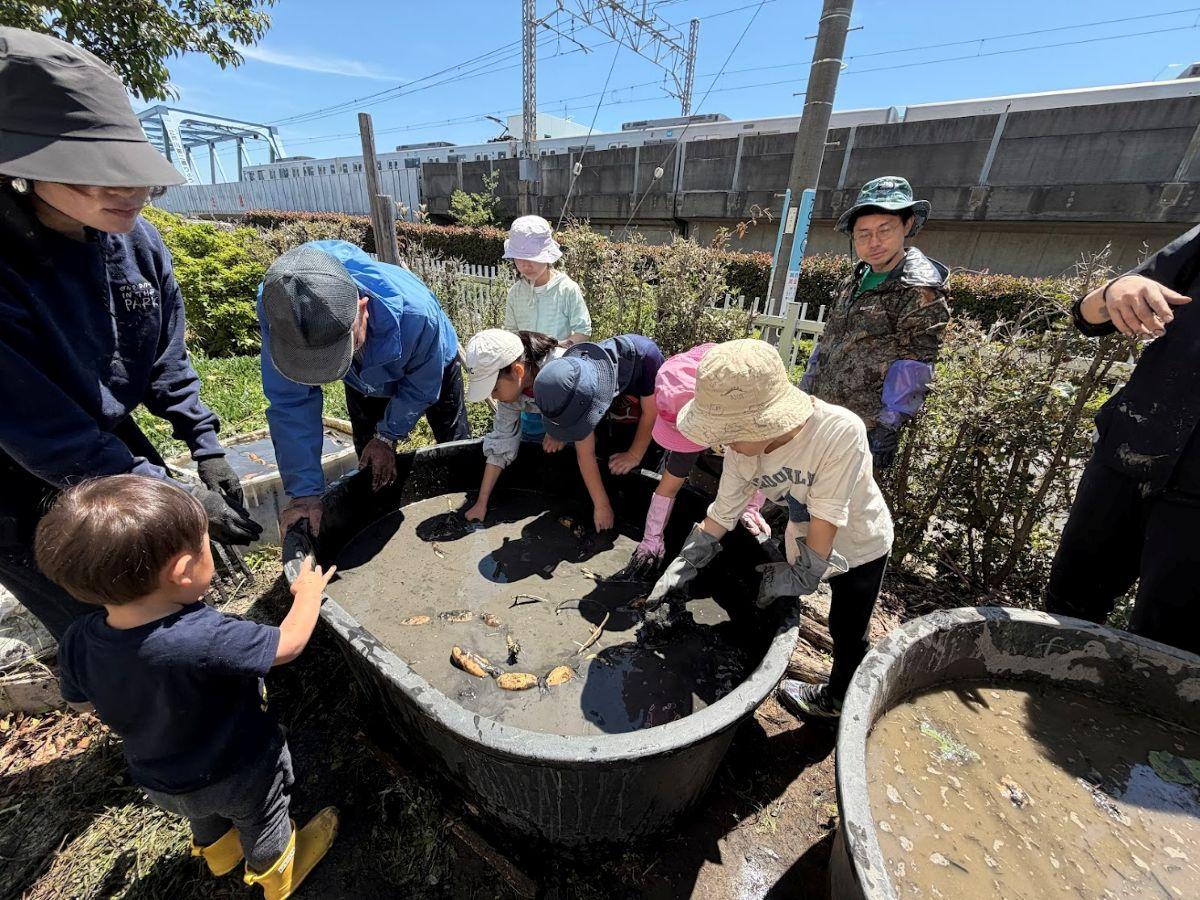 妙典小の児童や保護者、地域住民らが植え付けをする様子（写真提供＝妙典小ハス田クラブ）