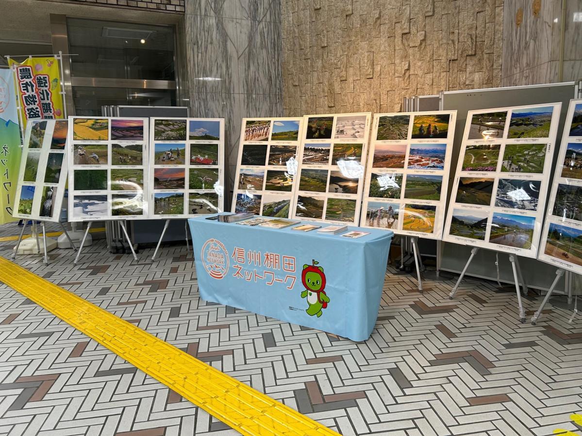 正面玄関ホールで展示中の入賞作品