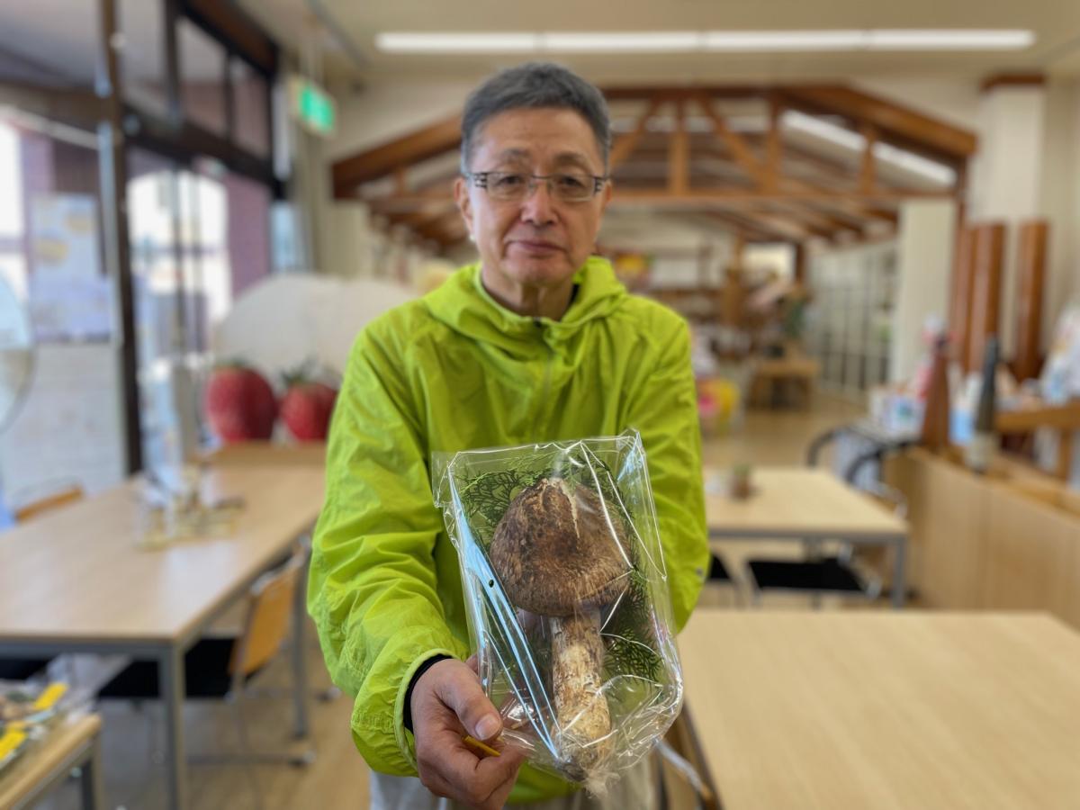 喬木村松茸振興会の山上和彦さんが収穫した28センチ、388gのマツタケ（2026年10月5日収穫）