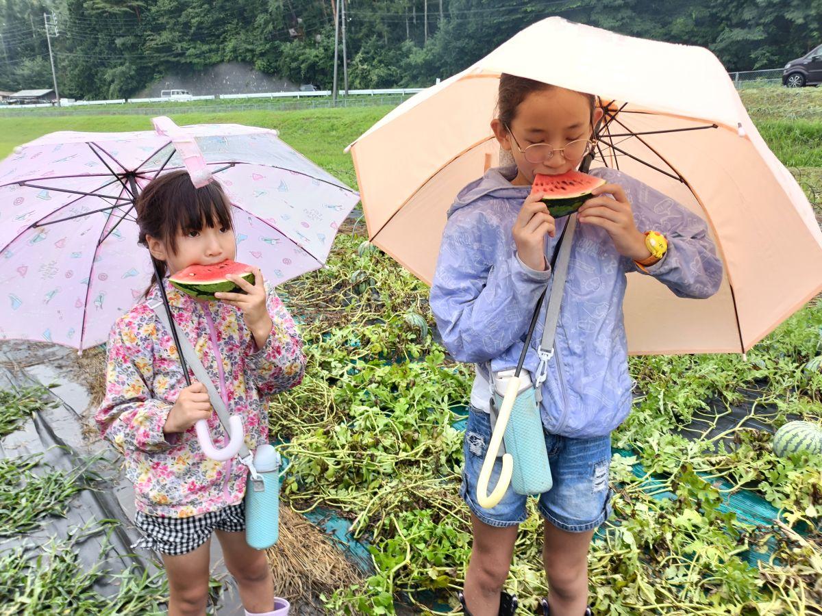 諏訪市から訪れたリピーターの姉妹