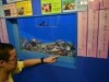 「志摩マリンランド」水族館の飼育員が俳句を詠むと魚の知識豊富でマニアックに