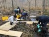 「ホテイアオイは外来植物」 伊勢志摩の押渕湿地で外来植物駆除作戦