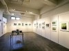 石垣島のホテルで中西康治さん写真展 生命きらめく森と水の島風景捉える