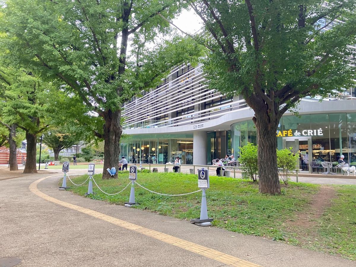 平和公園内にある板橋区立中央図書館(板橋ボローニャ絵本館併設)