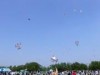 板橋・荒川河川敷で親子たこ揚げ大会 日本各地のたこの展示も