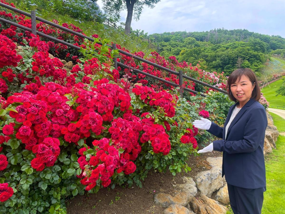 バラを紹介する平田さん