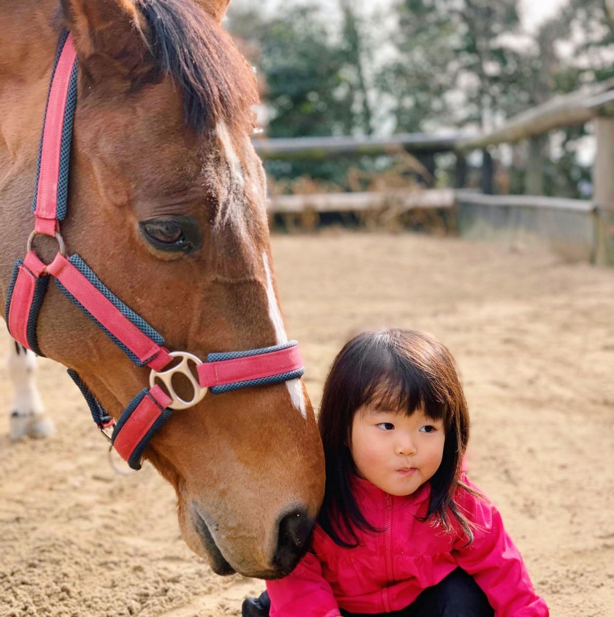 馬のいる、南相馬の日常――馬と地元の少女