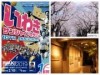 いわき経済新聞上半期1位は、「サンシャインマラソン中止でもいわきを楽しむ」