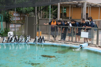 静浦小中一貫校生が「あわしまマリンパーク」で探究学習　地域貢献テーマに
