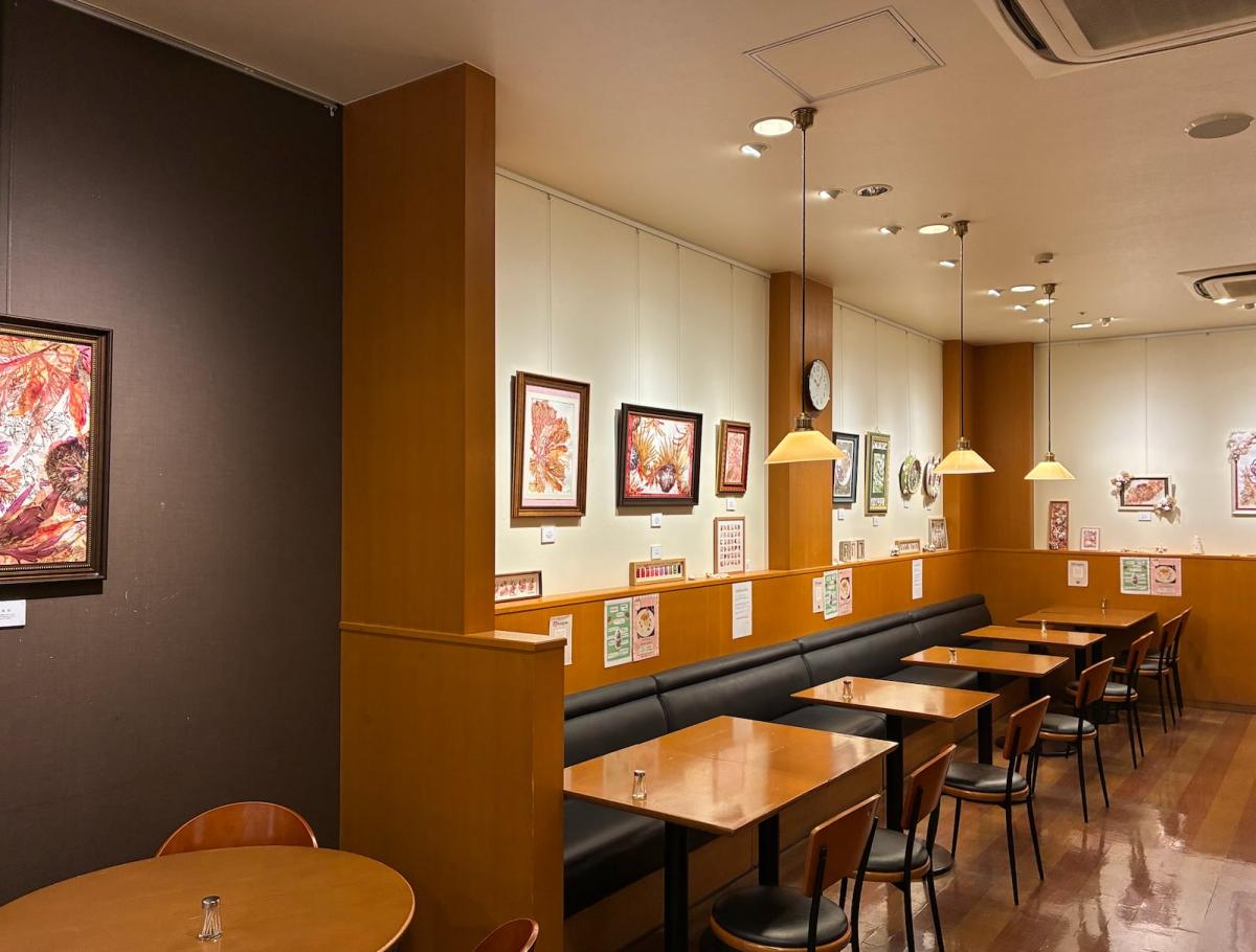 展示の様子