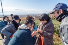 沼津でお茶の実拾い体験会 「お茶の実相撲」体験も