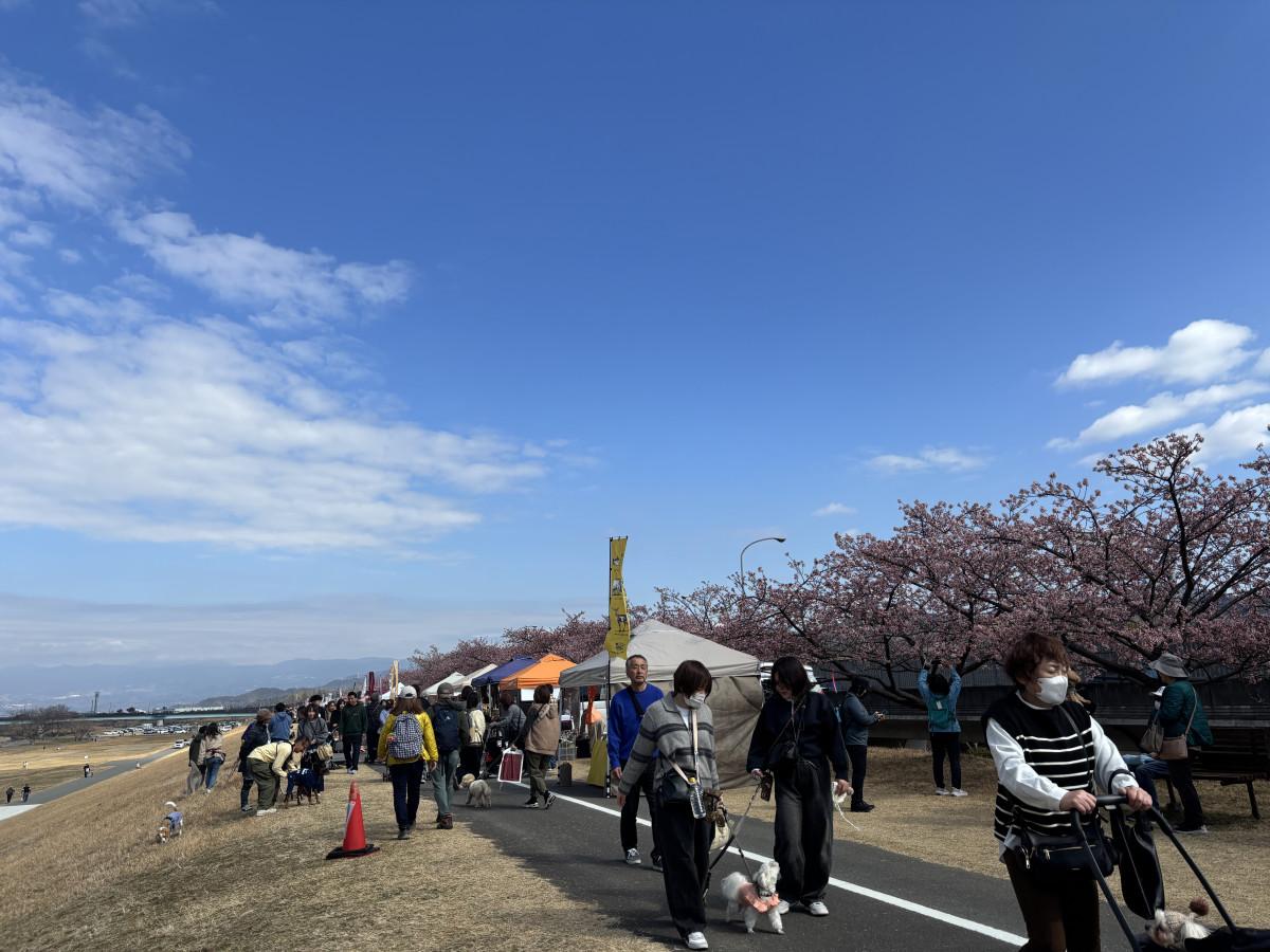 当日の様子。愛犬と来場する人の姿が見られた（写真提供＝JM）