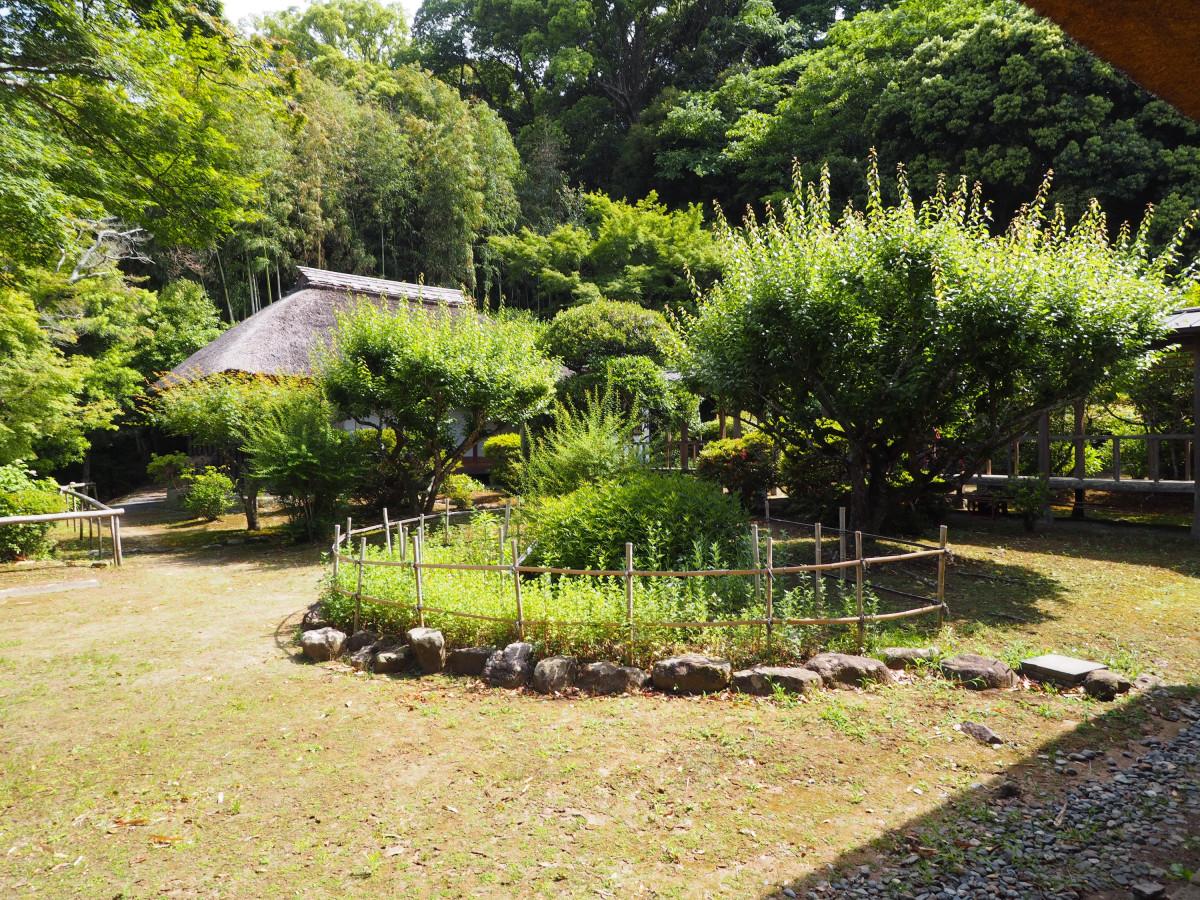 春と秋の「内庭公開」でも見られる江川邸の内庭