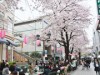 自由が丘南口「桜まつり」 桜並木沿道で野だてや地元グルメなど