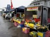 鹿児島県民交流センターで共生・協働フェス-初の「軽トラ市」も