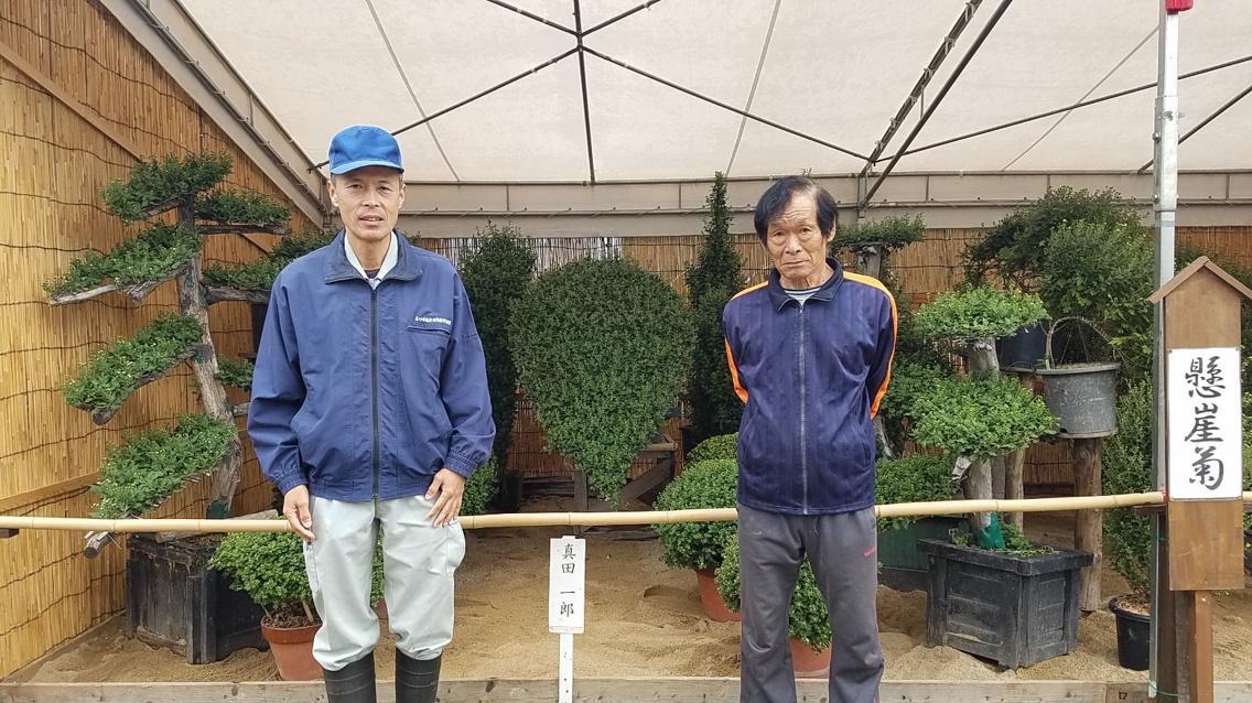 高砂菊花展覧会をPRする稗田さんと懸崖菊の作者・真田さん