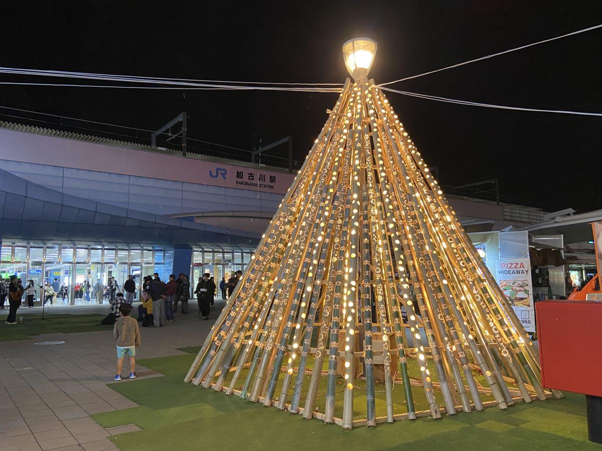 JR加古川駅南に登場したツリー型の竹ランタン