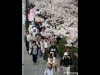 下関・門司で「維新・海峡ウォーク」 高杉晋作の偉業たたえ、31回目
