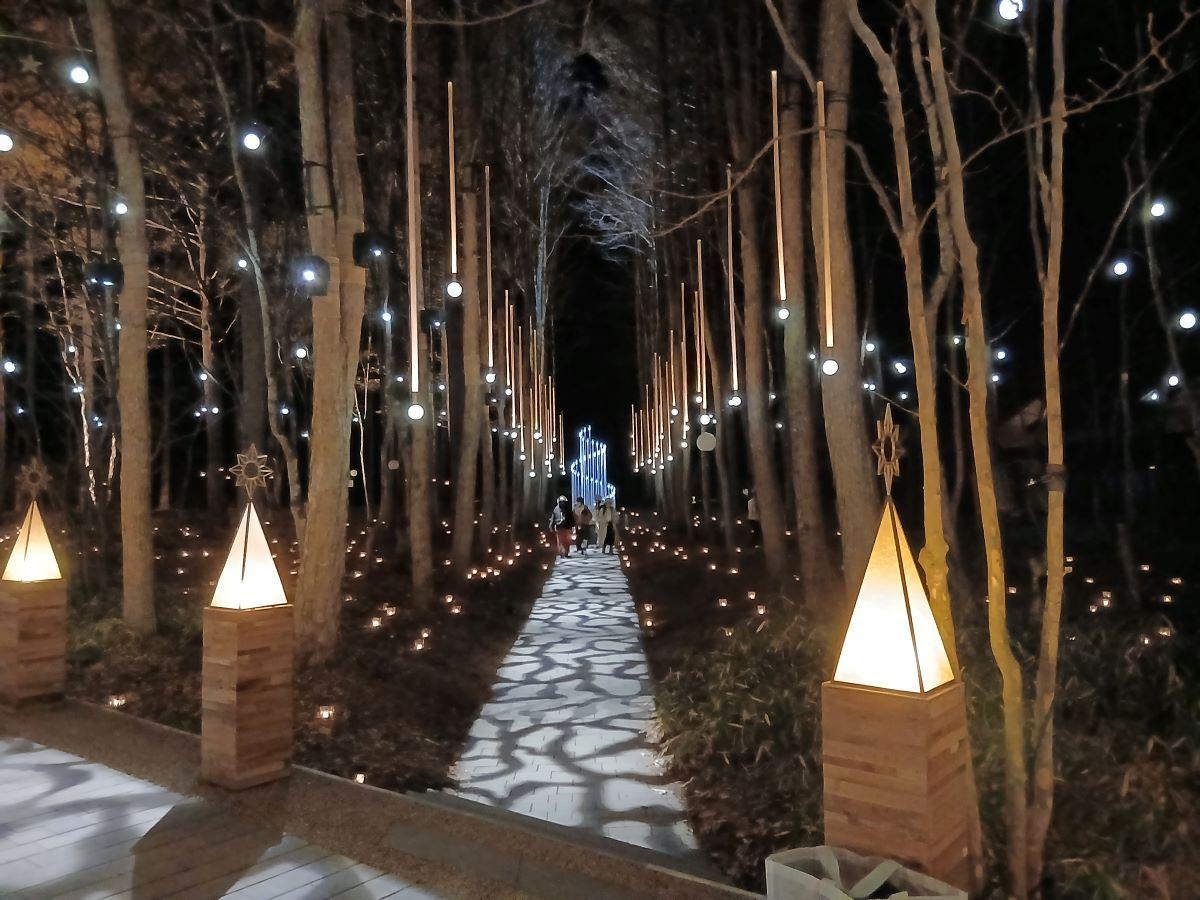 教会の森には、今年新たに、星に願いを込める「Wishing tree」が登場。いくつものガラス球がらせんを描きながら空に向かっているクリスマスツリーのオブジェの周りに人が集まる。　　2025年11月30日撮影