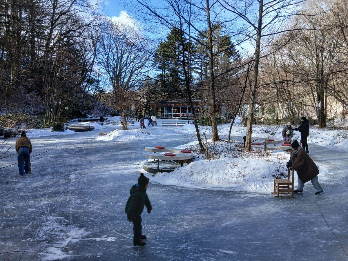 2026年1月26日撮影