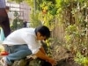 次の世代に緑を残したい-亀有香取神社で植樹式典