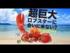レッドロブスター武蔵野関前店で50周年企画 50年物も提供
