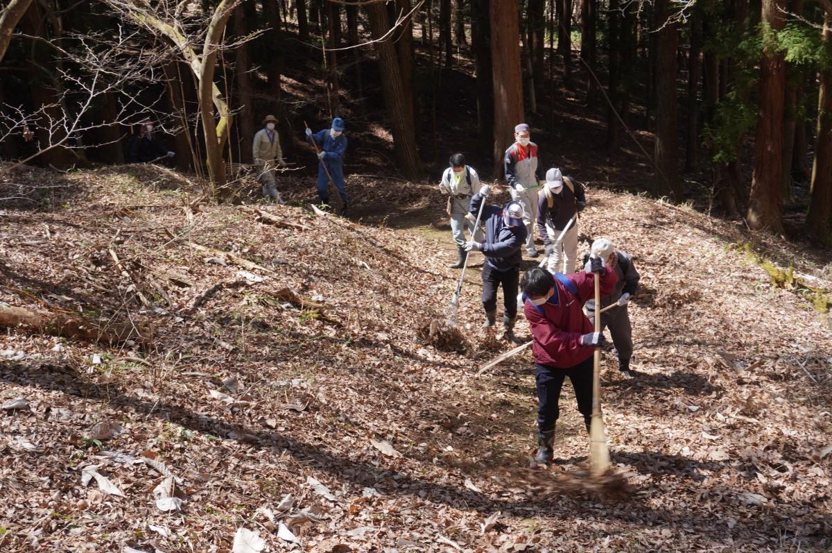 遊歩道の整備作業の様子