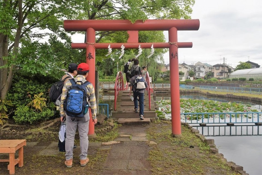 弁天池公園で出世弁財天の社(やしろ)へ続く太鼓橋を渡る