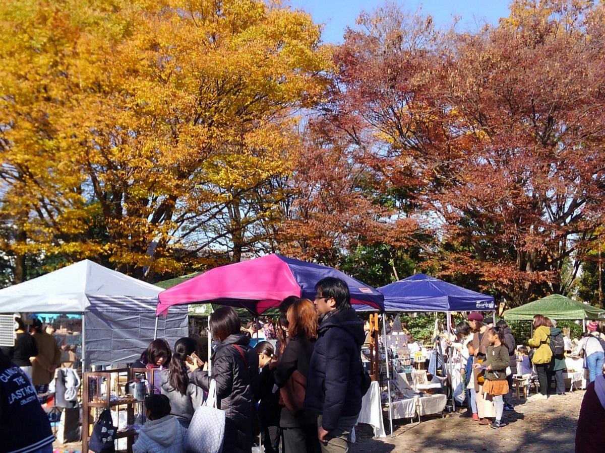 昨年11月開催時の様子。晴天に恵まれ紅葉も見られた