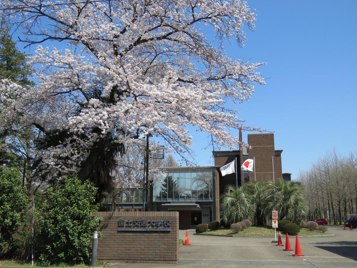 国土交通大学校外観。春には桜の花が道行く人の目を楽しませる