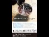 神戸ハーバーランドで灘の生一本飲み比べイベント 上沢の人気酒店が協力