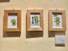 高円寺・ノラやで「カエル」テーマの企画展 高円寺フェス公式キャラ「フェス太」も登場