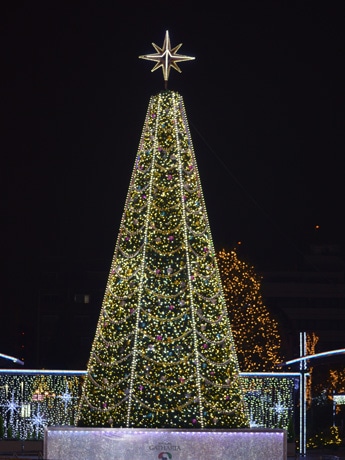堂々とそびえるクリスマスツリー
