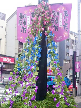 朝顔市か?近つ?くとフラック?か?立ち街か?華やく?