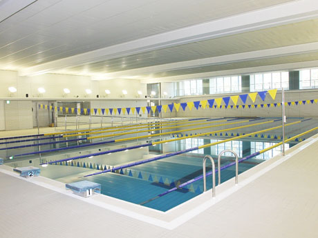 豊洲西小学校のプール