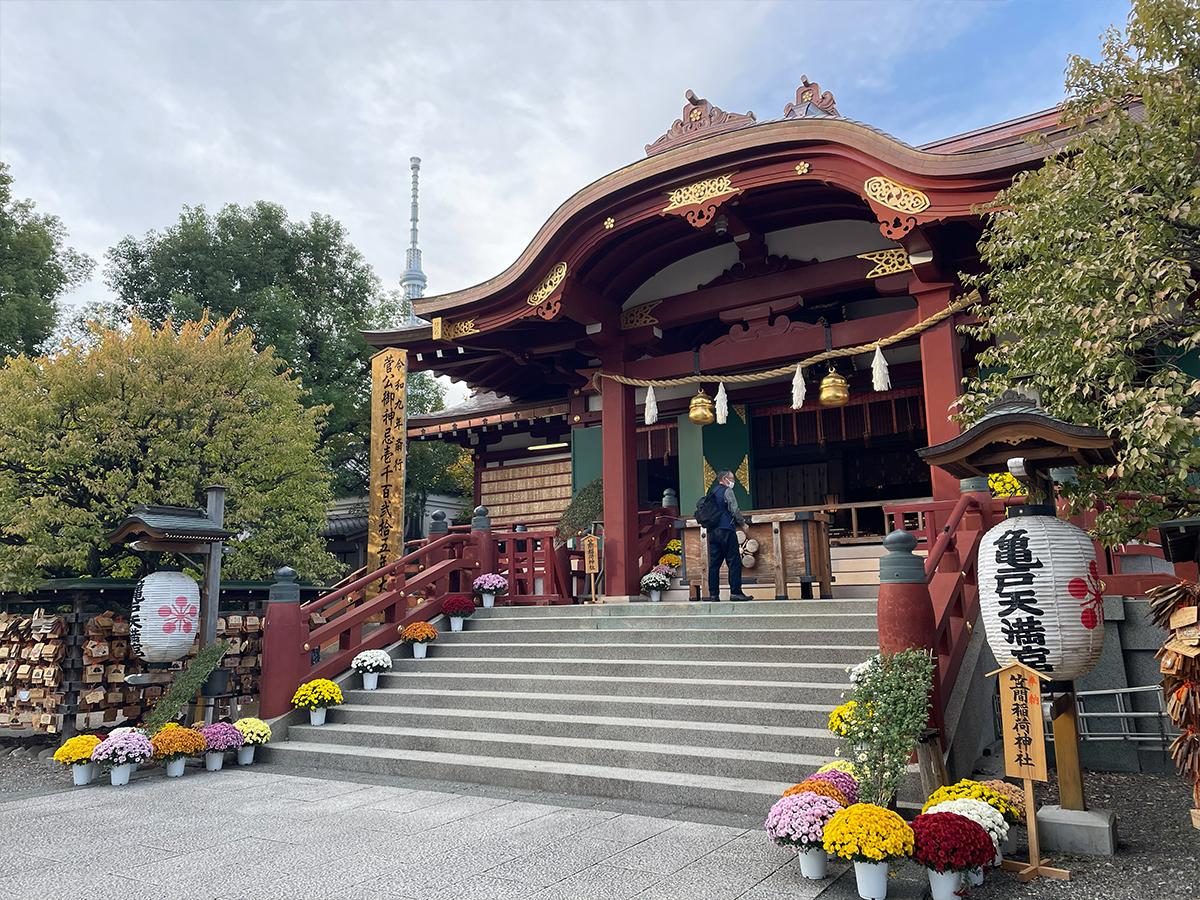 本殿前にも菊が飾られた亀戸天神社。奥には東京スカイツリーも見える