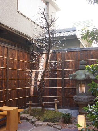 中庭の様子
