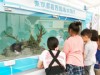 えこっくる江東で「環境フェア」 移動水族館も