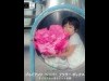 森下で「ジャイアントペーパーフラワーパレード」