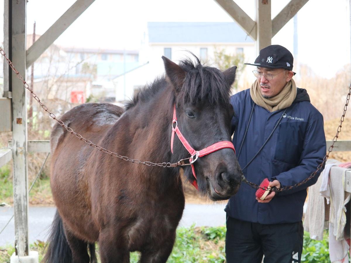 道産子馬「神楽」へブラッシング