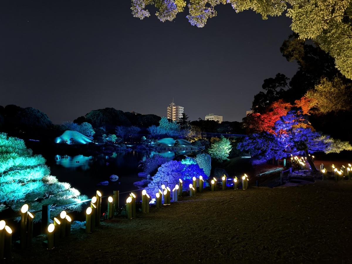 庭園全体を彩るライトアップ