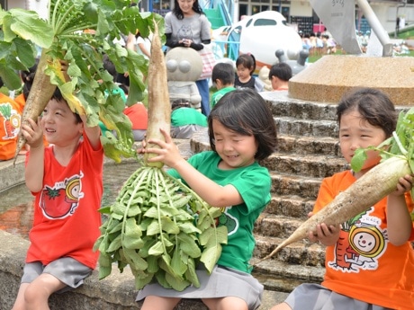 野菜を収穫した園児