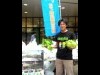 町田で「朝どれレタス」無料配布 市の保養施設PRで
