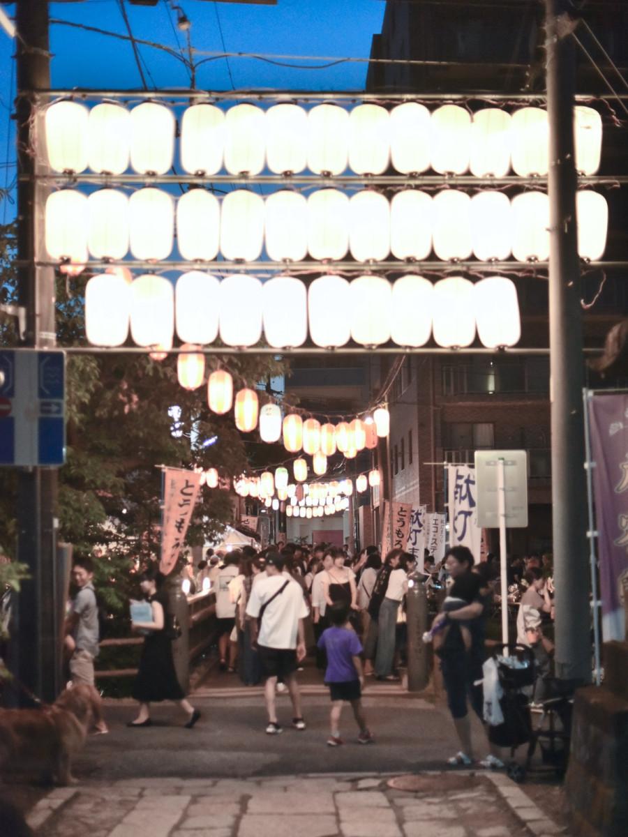 松龍寺の参道に並ぶ提灯が夏の夜を彩る