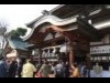 松山・居相で恒例「椿まつり」 今年も開催へ