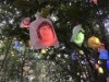松山市・道後公園で「ひかりの実」ライトアップ 手作りイルミネーション5000個を点灯
