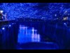 目黒川ライトアップ企画「青の洞窟」、8日再開-週末については検討中