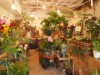 中目黒の生花店「ハナナヤ」、メキシコ雑貨店と組みコラボ販売